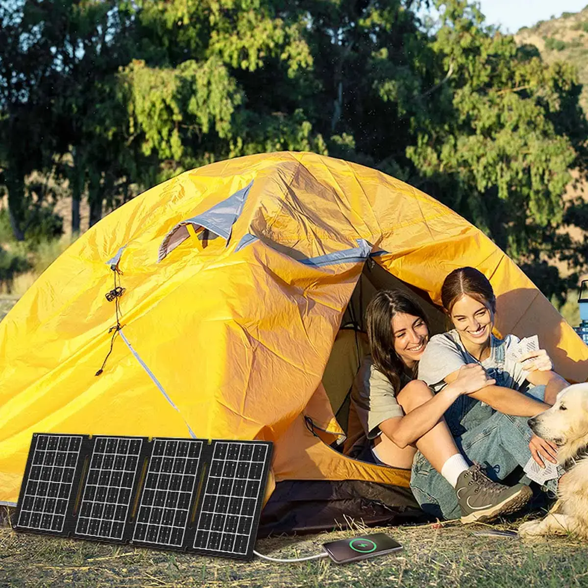 Panneau solaire, 30 watts, pliable - Logilink