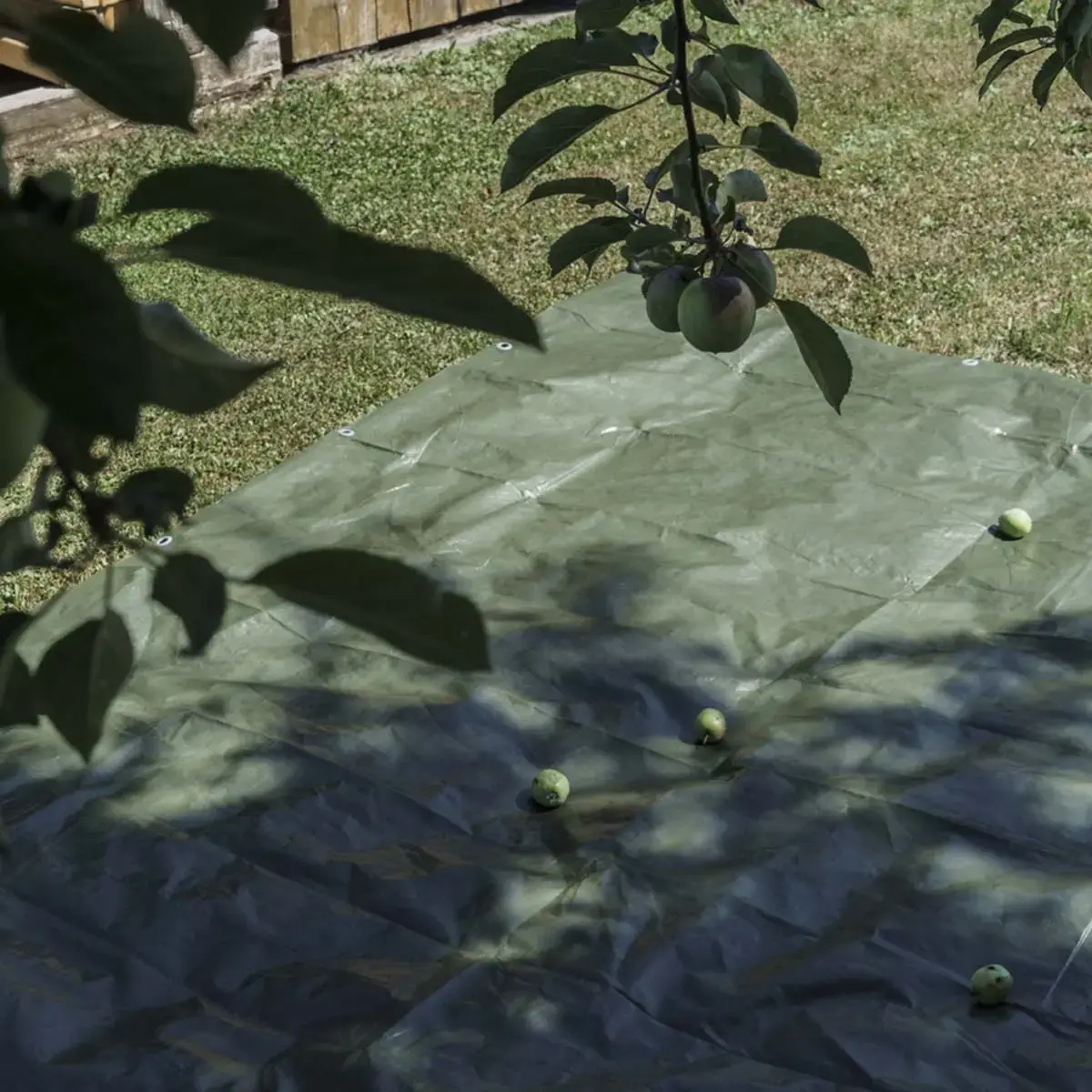 Bâche toile avec oeillets, 3 x 4 m, 150 g, vert - Agriplus