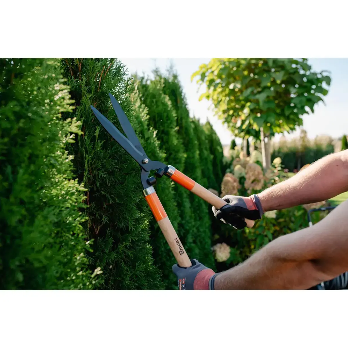Cisaille taille-haie V-SERIES WOOD, lame 200 mm - Bradas