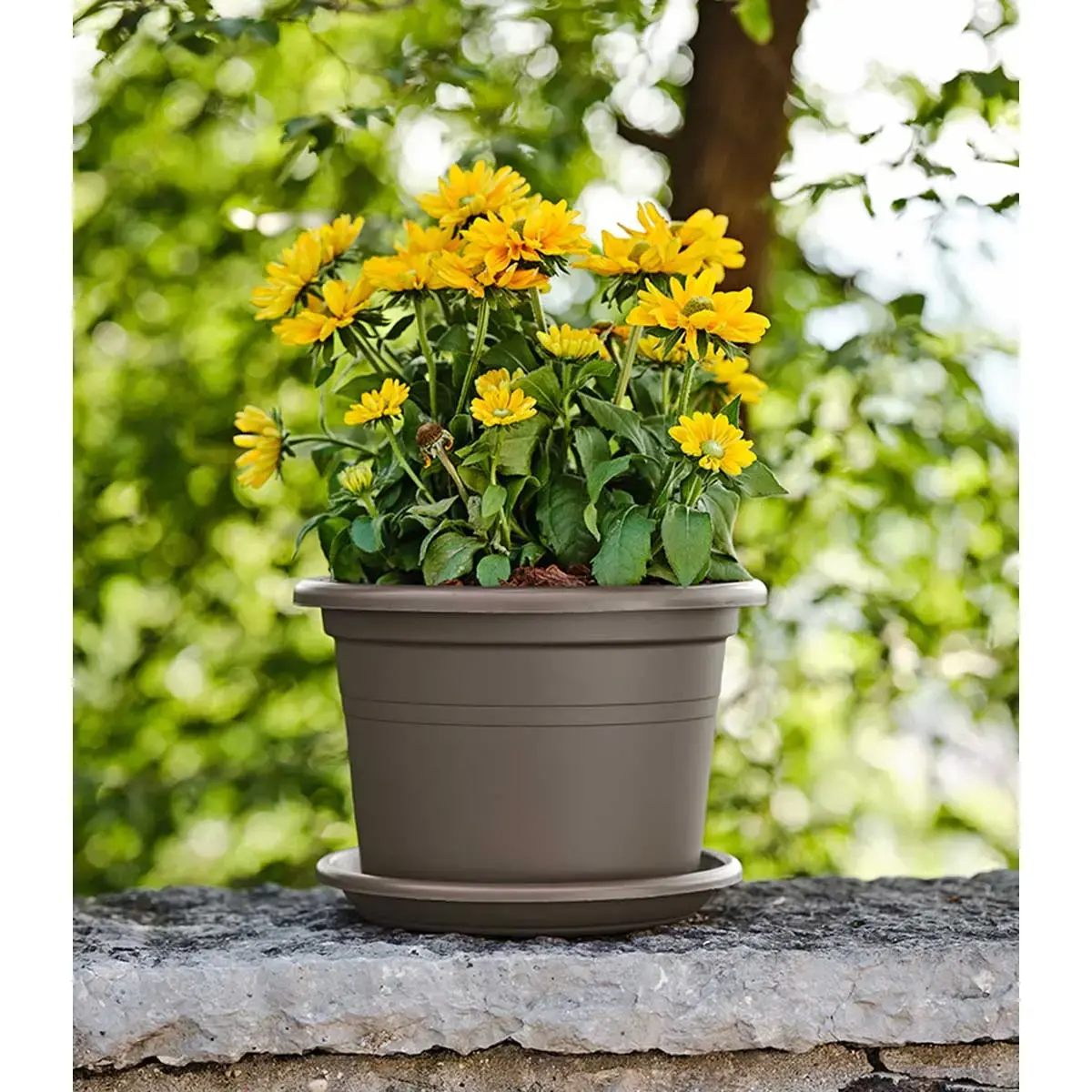 Pot de fleurs Basic round - diamètre 500 mm - Anthracite - Tera