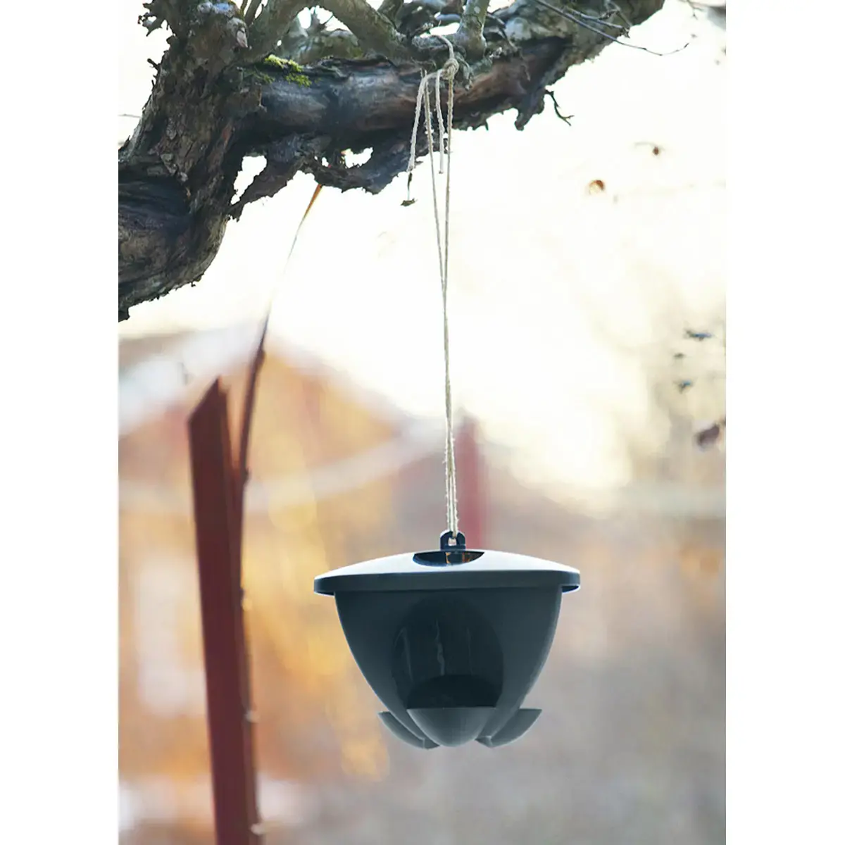 Mangeoire pour oiseaux BIRDIE, noir - Orthex