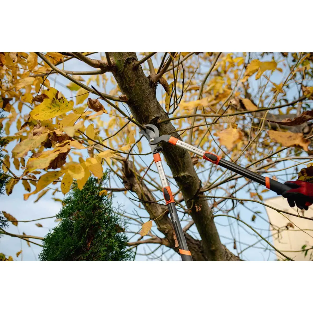 Coupe-branches Bypass V-SERIES, télescopique - Bradas