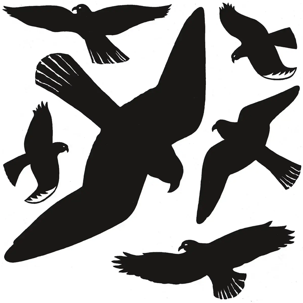 Oiseaux de vitres - film - r&eacute;sistant aux - Herma 
