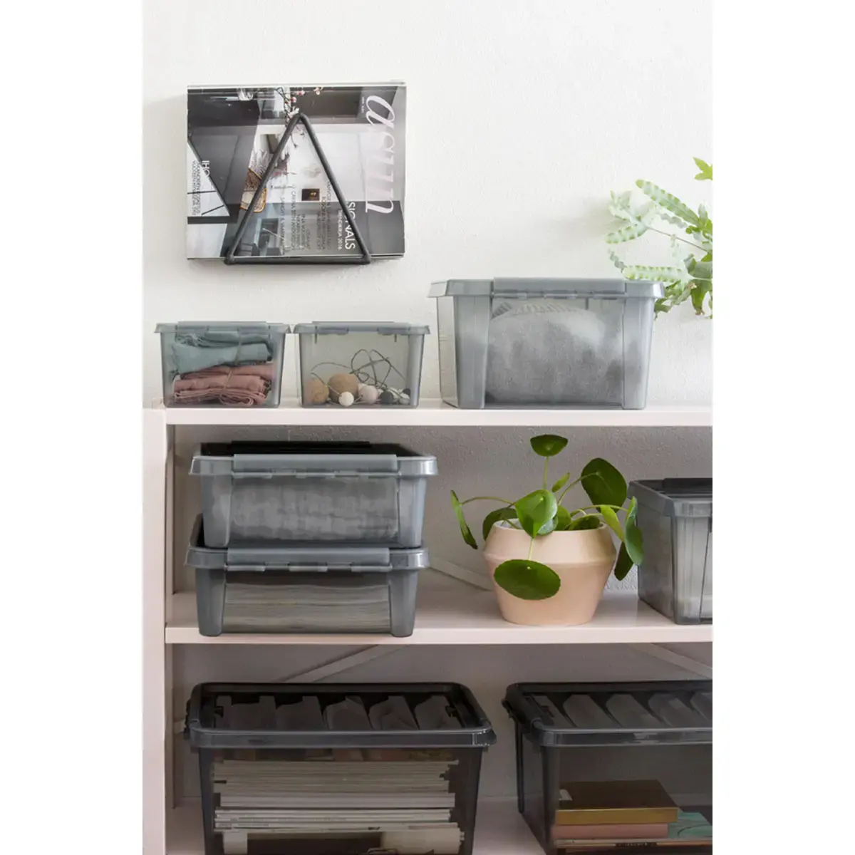 Boîte de rangement COLOUR, 46 litres, gris - Smartstore