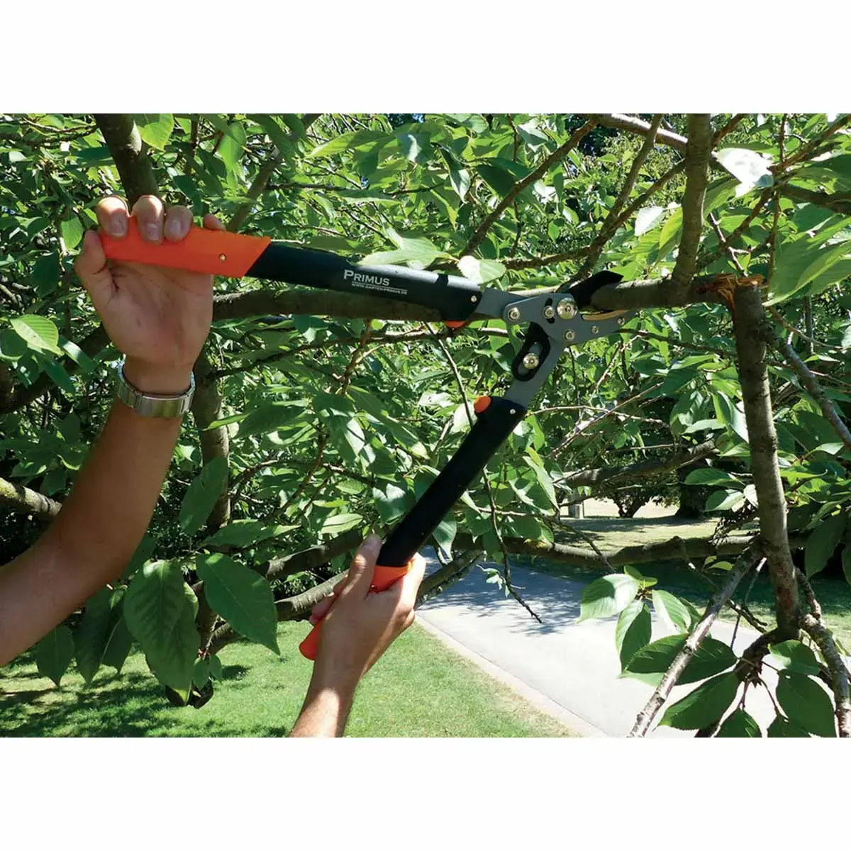 Coupe-branches femmes, longueur : 470 mm - Garten Primus 