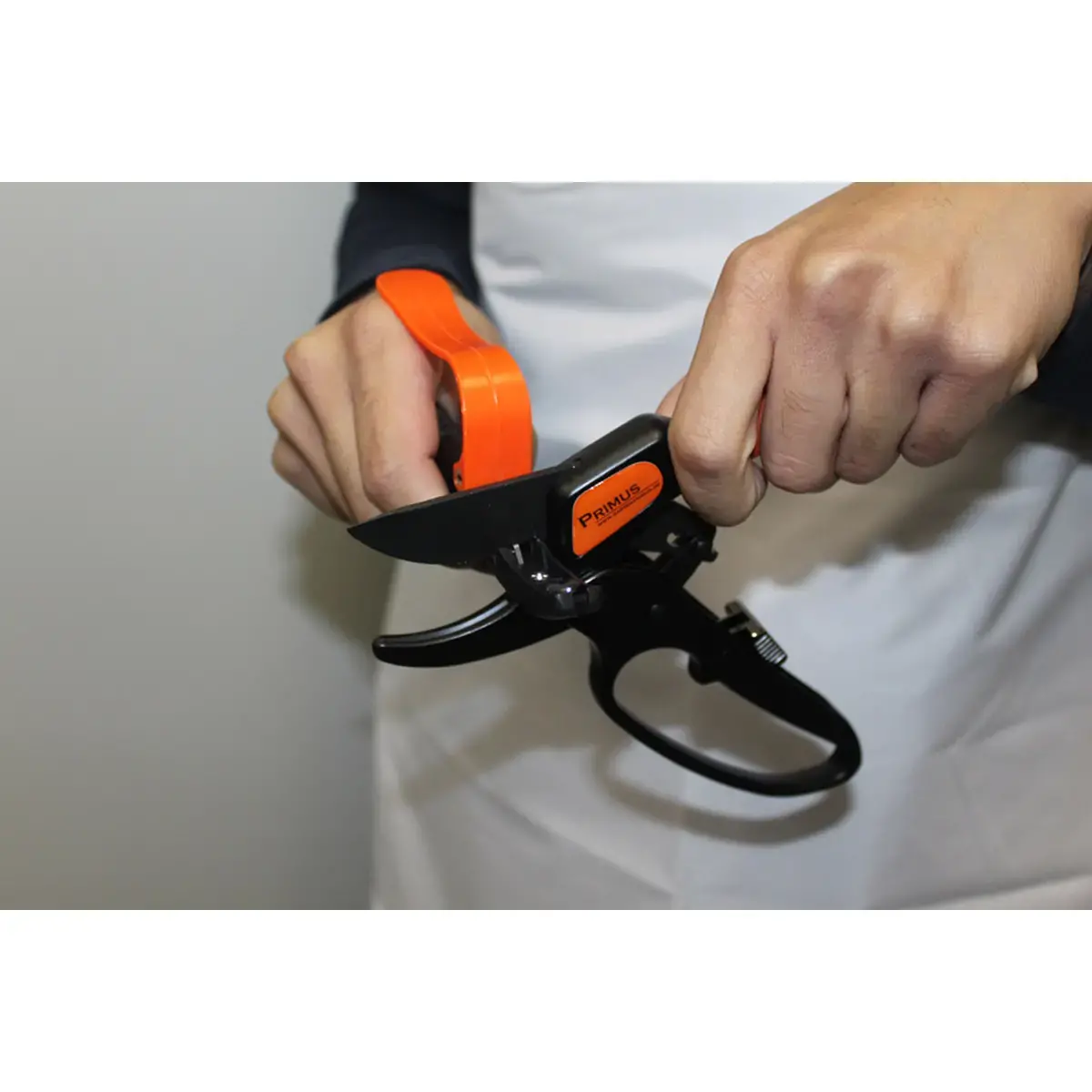 Affûteur multi-fonctions, noir/orange - Garten Primus