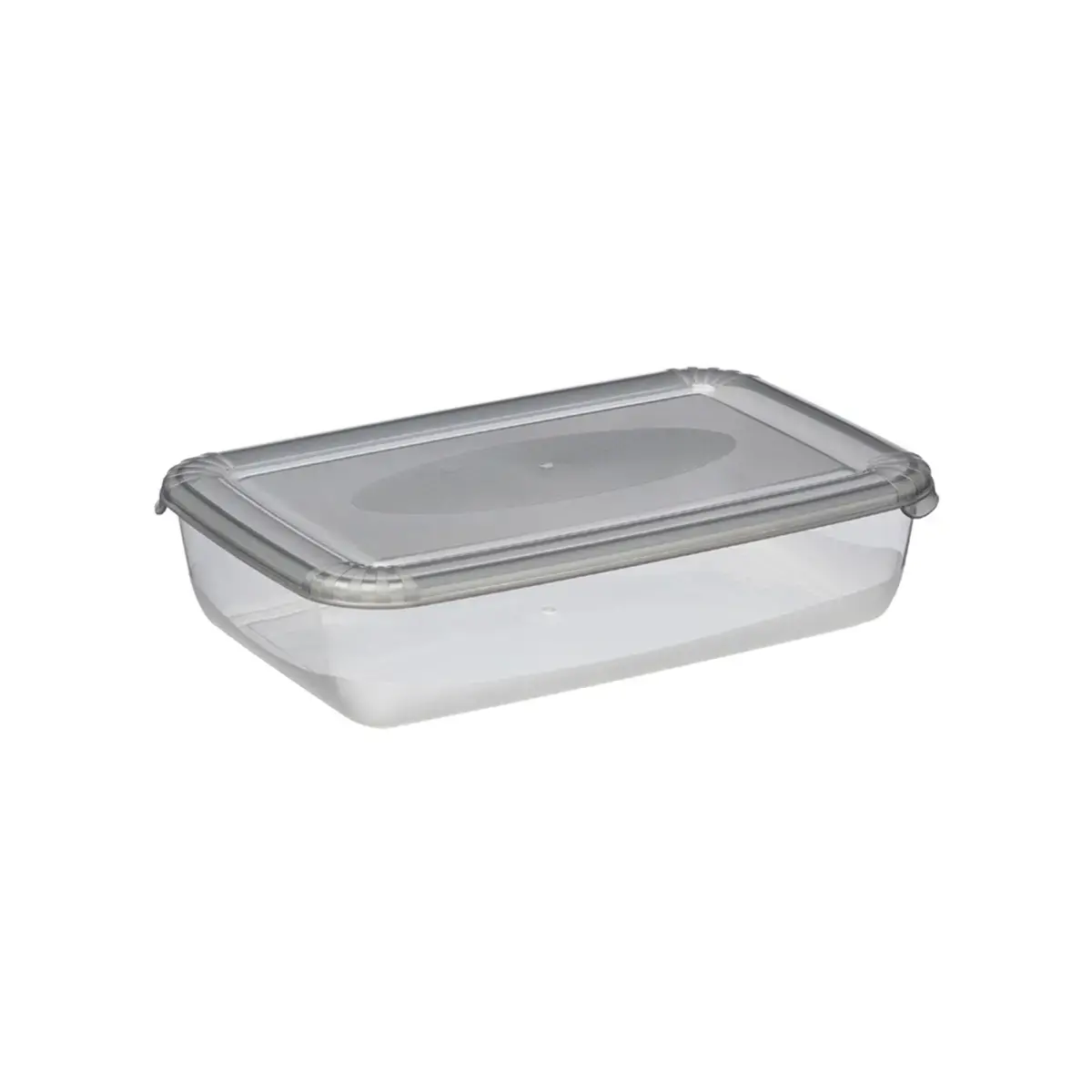Boîte de congélation Polar, 3 litres, bleu - Plast Team