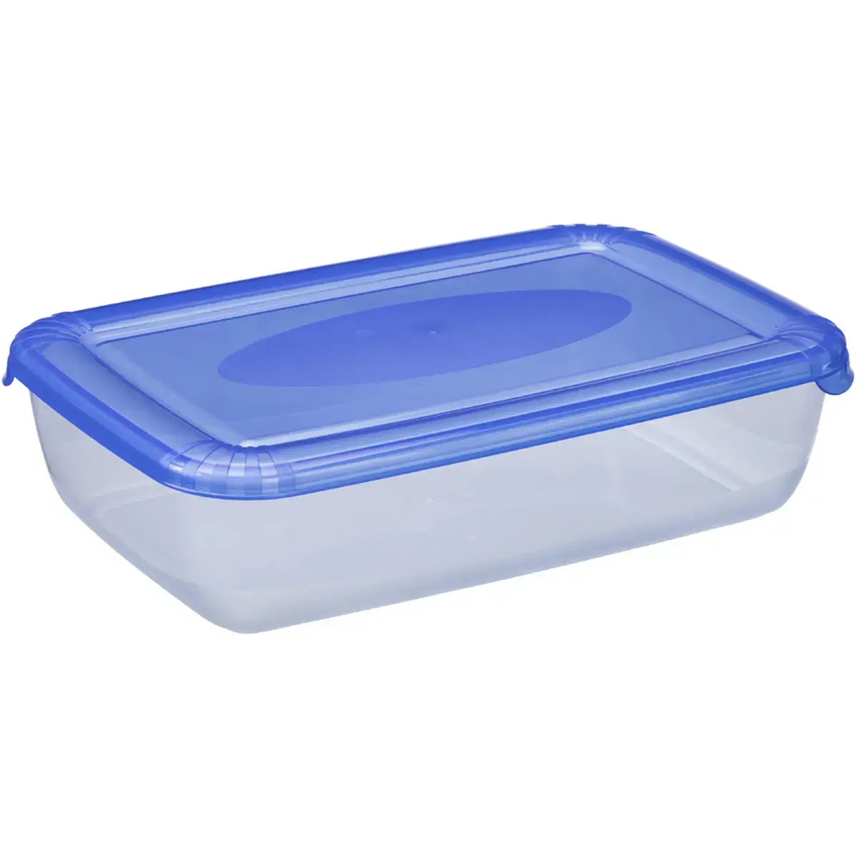 Boîte de congélation Polar, 3 litres, bleu - Plast Team
