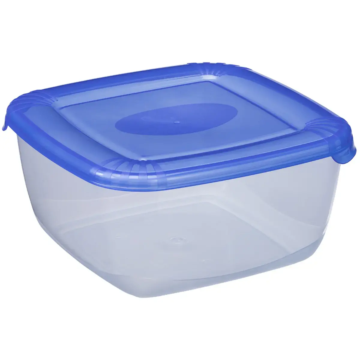 Bo&icirc;te de cong&eacute;lation Polar, 1,5 litre, bleu - Plast Team 