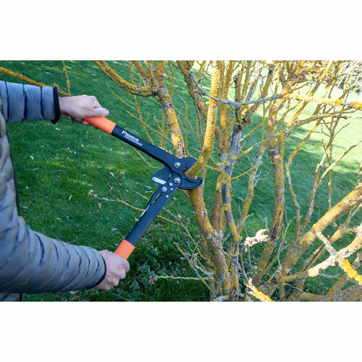 Coupe-branches femmes Dual-Cut, 420 mm - Garten Primus 
