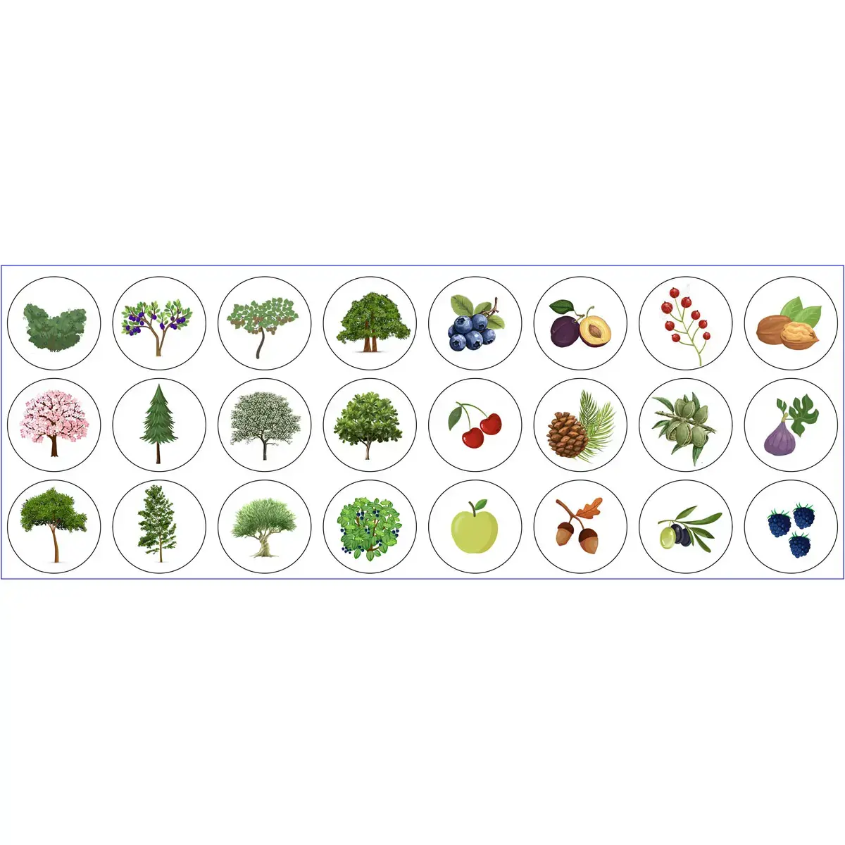 Rouleau de gommettes Arbres 360 unités - Apli