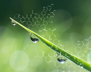 guide d'achat produits d'Hygiëne écologiques