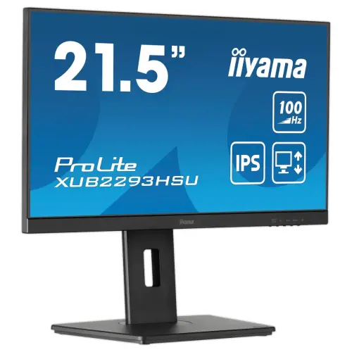 Prolite-monitor - 22" 
