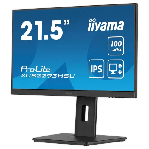 Prolite-monitor - 22" 