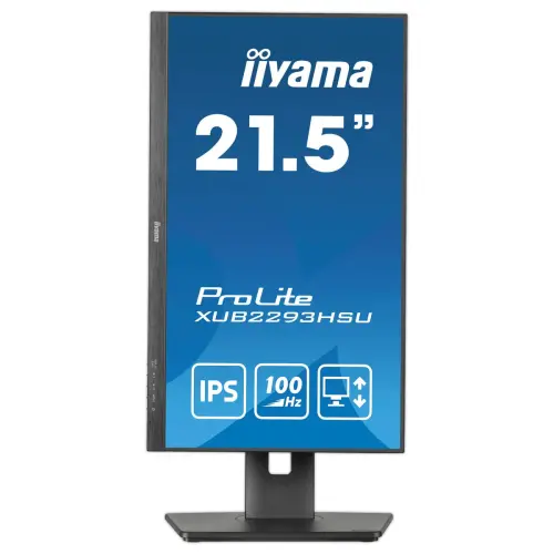 Prolite-monitor - 22" 