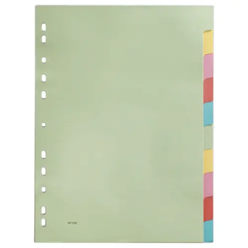 Tabbladen - A4 - 10 tabs - Karton 2/10e