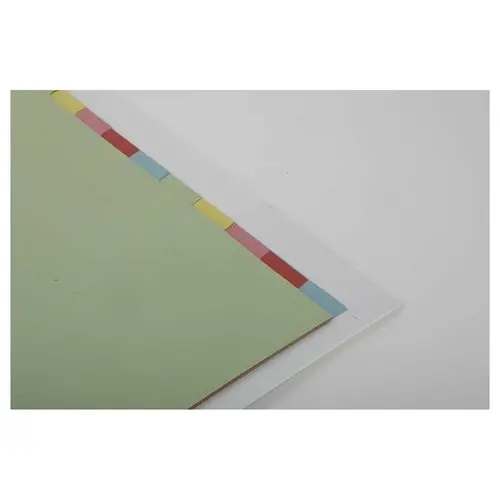 Tabbladen - A4 - 10 tabs - Karton 2/10e