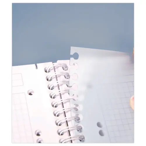 Schrift A4+ Evolutiv'Book Linicolor - CLAIREFONTAINE