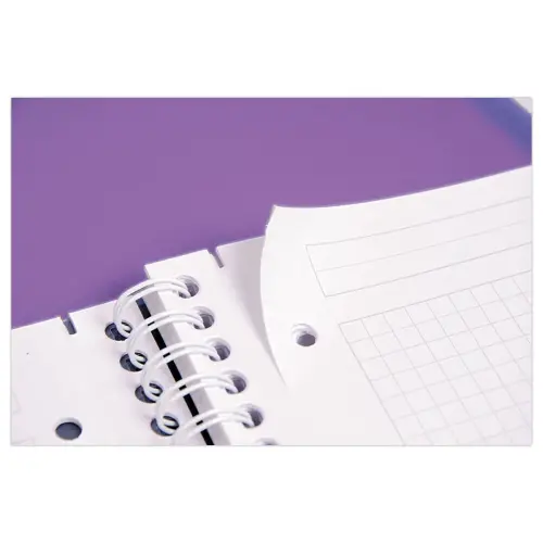 Schrift A4+ Evolutiv'Book Linicolor - CLAIREFONTAINE