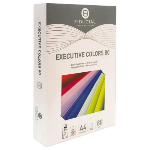 Pak van 500 vellen papier A4 80 g EXECUTIVE CLR - intense kleuren