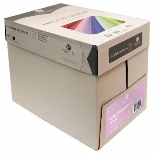 Pak van 500 vellen papier  A4 80 g EXECUTIVE CLR  - intense kleuren 