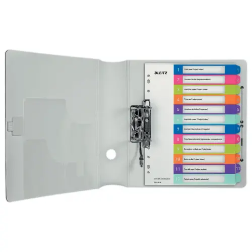 Set WOW digitale tabbladen - A4 Maxi - 12 tabbladen - LEITZ 