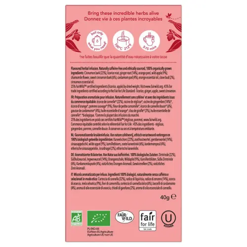 20 Infusies - Wilde Appel, Kaneel, Gember - PUKKA 