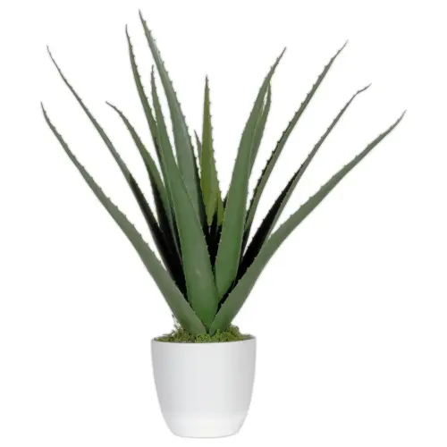 Kunstplant Aloe vera - H 45 cm