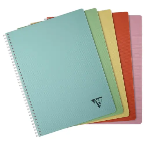 Spiraalschrift Linicolor - A4 - 100 pagina's - 5x5 - CLAIREFONTAINE