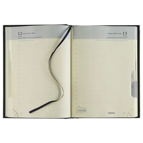 Dagagenda Brepols Euro 13,3 x 20,8 cm