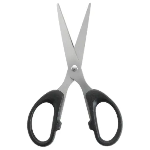 Schaar met spitse punten 15 cm