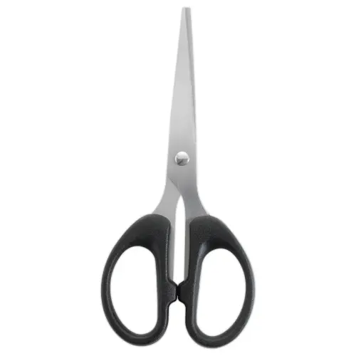 Schaar met spitse punten 15 cm
