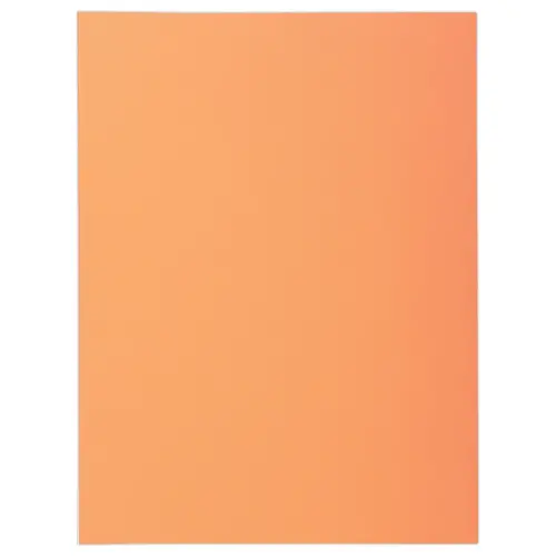100  Pastelkleurige mappen FIDUCIAL 24x32 cm - 220 g 