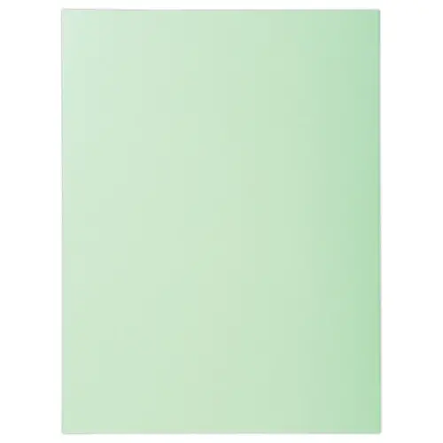 100 Mappen A4+ - Pastelgroen - 220g - FIDUCIAL OFFICE SOLUTIONS