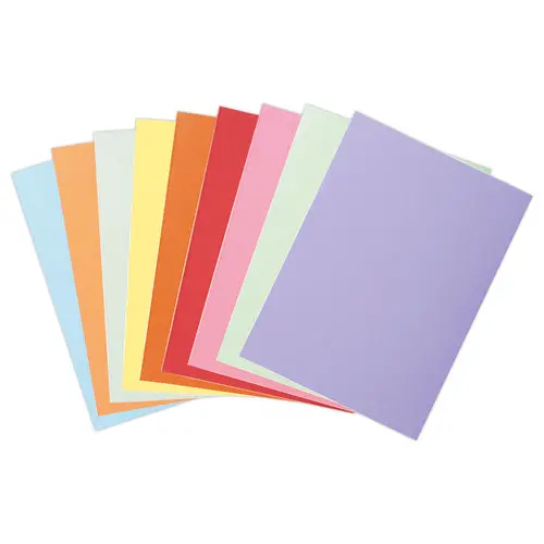 250  Pastelkleurige inlegmappen FIDUCIAL 22x31 cm - 60g 