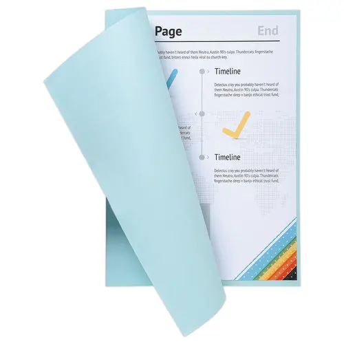 250  Pastelkleurige inlegmappen FIDUCIAL 22x31 cm - 60g 