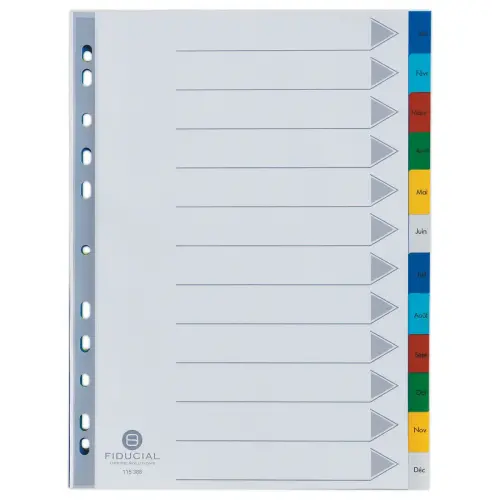 Maandelijkse tabbladen A4 - 12 tabs - FIDUCIAL