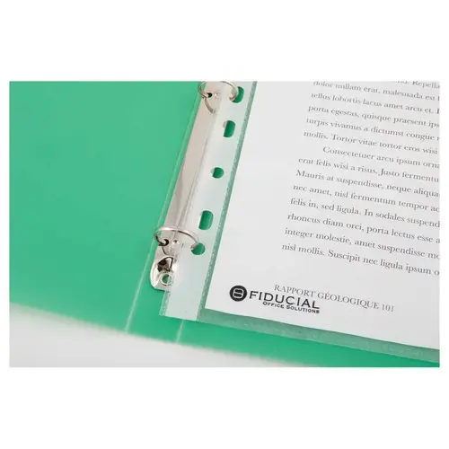 Doorschijnende gekleurde ordner 4 ringen, rug 2 cm - Groen - FIDUCIAL 
