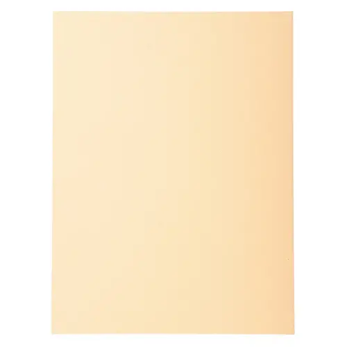 100  Inlegmappen 24 x 32cm Exacompta Forever gerecycleerd 170g 
