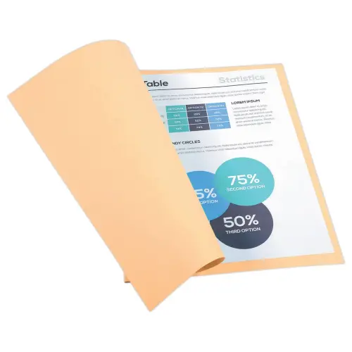 100  Inlegmappen 24 x 32cm Exacompta Forever gerecycleerd 170g 