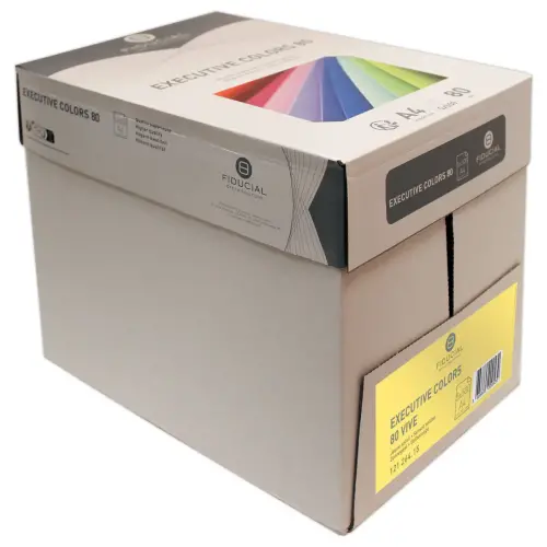 Pak van 500 vellen papier A4 80g EXECUTIVE levendige kleuren FIDUCIAL 