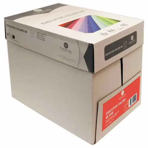 Pak van 500 vellen papier A4 80g EXECUTIVE levendige kleuren FIDUCIAL