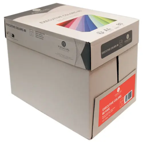 Pak van 500 vellen papier A4 80g EXECUTIVE levendige kleuren FIDUCIAL