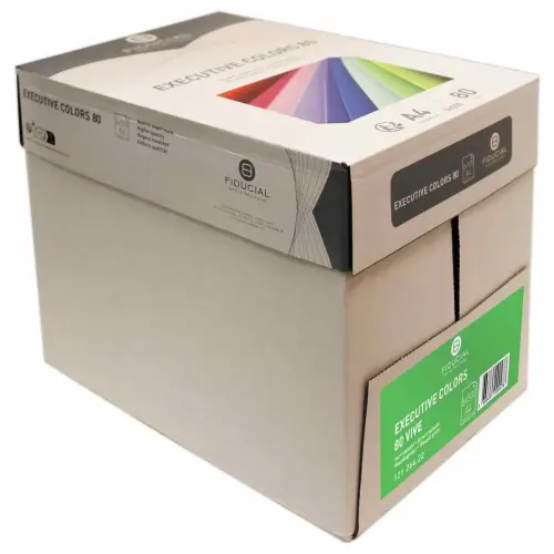 Pak van 500 vellen papier A4 80g EXECUTIVE levendige kleuren FIDUCIAL 