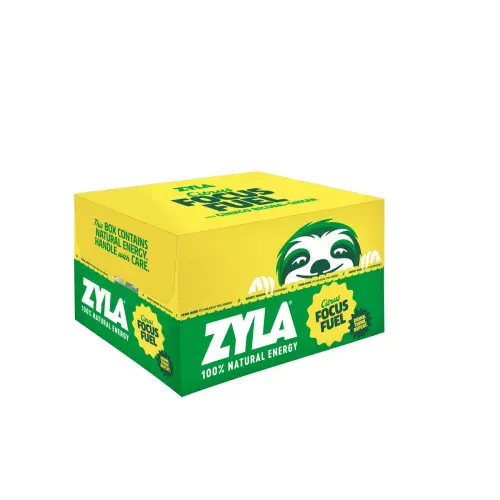 24 ZYLA FOCUS CITRUS 25CL 