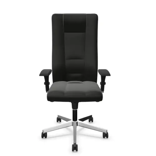Leren fauteuil INVITUS