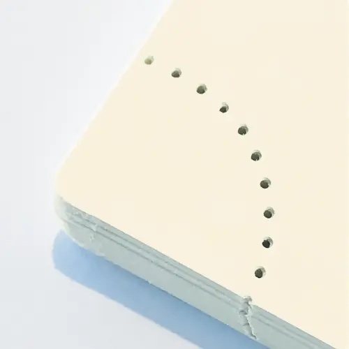Weekagenda EXACOMPTA Swan 21 x 29,7 cm- Petrolblauw 