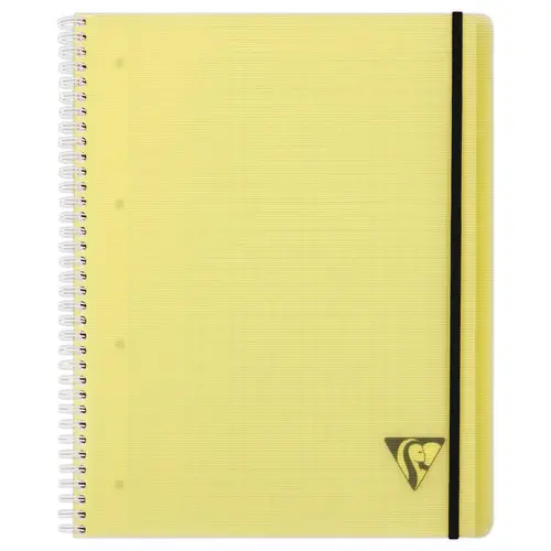 Spiraalschrift A5+ Proactiv'Book - 5 x5 - CLAIREFONTAINE