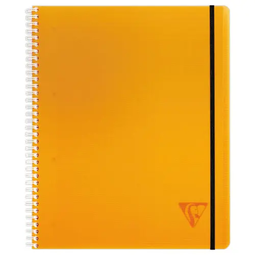 Spiraalschrift A5+ Proactiv'Book - 5 x5 - CLAIREFONTAINE