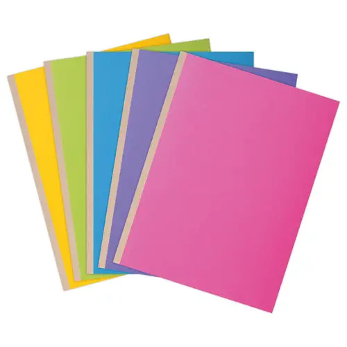 10 Mappen met linnen rug - 24 x 32 cm - EXACOMPTA